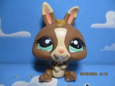 PETSHOP RABBIT DWARF N°2074