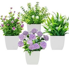 4 Pièces Mini Plantes