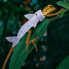  2 Pcs Deguisement Pour Chat