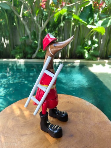 Bali wood canard bois de - wood,