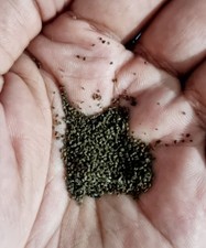 Granulés alimentaires pour