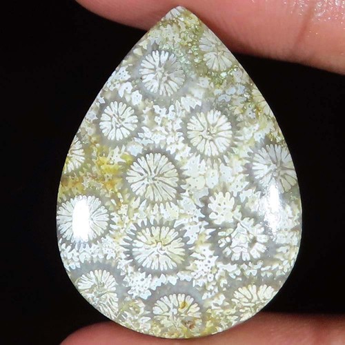 Cts 100 naturel - naturel, fossil