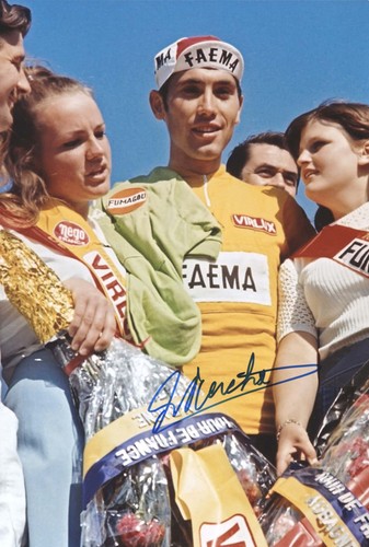 Eddy merckx original - eddy,