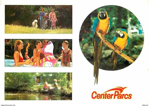 Carte postale animaux - carte,