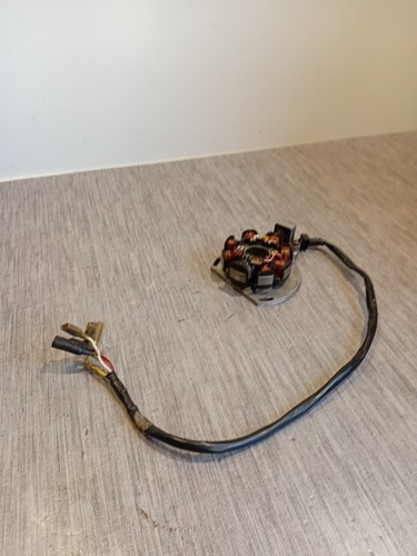 Stator allumage moteur ktm - stator,