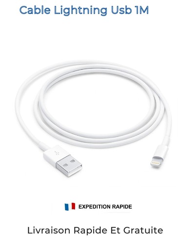 Câble chargeur iphone ipad - chargeur,