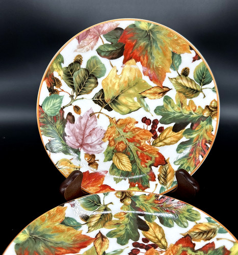 Set pamela gladding - set,
