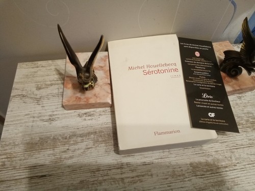 Houellebecq - houellebecq, (michel)