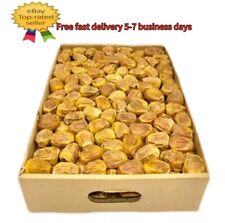 FREE SHIP DHL 3-7 DAYS Dattel  Sukkari  dates  premium  تمر سكري ملكي مفتل