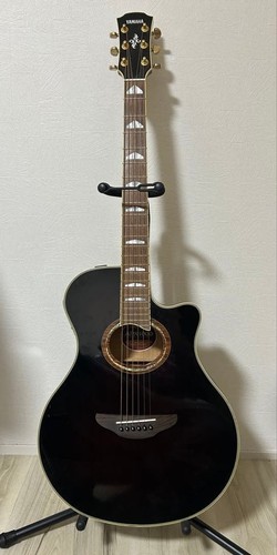 Guitare électrique acoustique