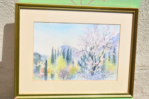 Amandiers fleurs - ", "