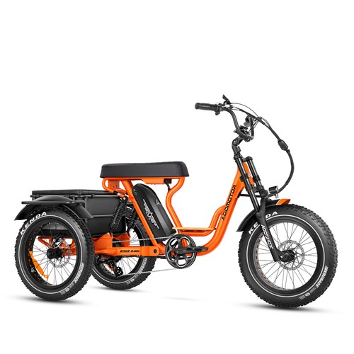 Electric trike addmotor 750w - addmotor,