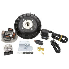 Allumage Variable 1,1 KG PINASCO FLYTECH Vespa 50 N, Vespa 50 L, Vespa 50 R, Ves