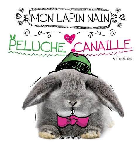Mon lapin nain peluche ou - mon,