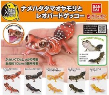 BANDAI Smooth knob-tailed & Leopard Gecko All 5 Types Set Figurine Capsule To...