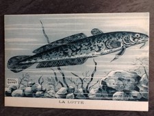 ILLUSTRATED CP SIGNED RAOUL GUINOT LA& LOTTE - FISH - 51489