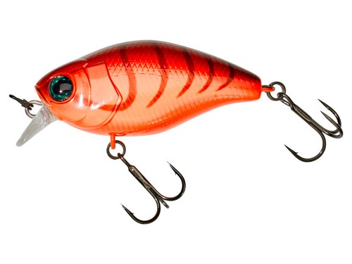 Neuf 2026 illex - magnum, chubby
