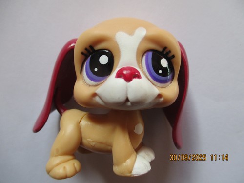 Petshop chien basset hound - petshop,