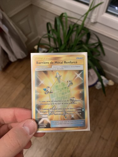 Pokemon gold barrière de - pokemon,