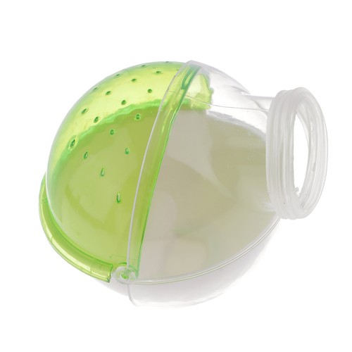 Hamster souris petit animal - hamster,