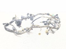 Harnais Principal De Fil De