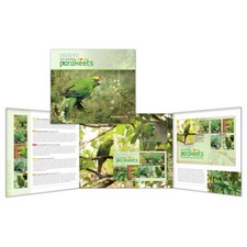 New Zealand 2020 Kakariki - New Zealand Parakeets Presentation Pack