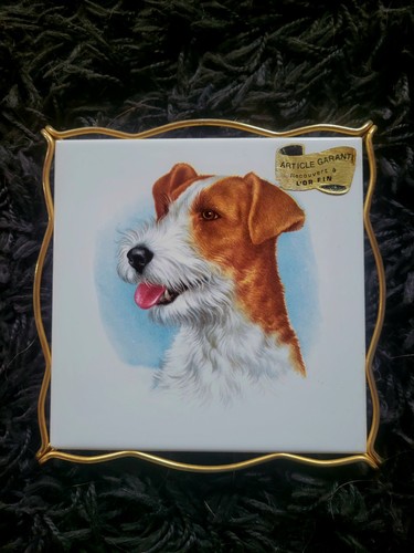 Dessous plat chien fox - de,