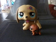 lot  petshop chien  teckel