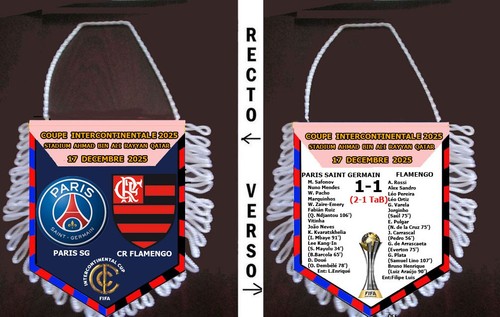 Fanion football coupe - fanion,