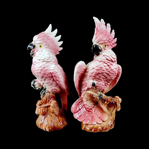 Couple cacatoès rosalbins - de,