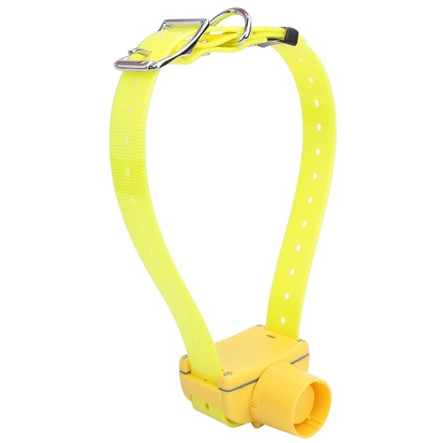 Collier chien étanche - 1,