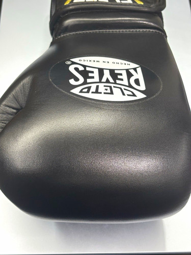 Cleto reyes sparring - sparring, boxing