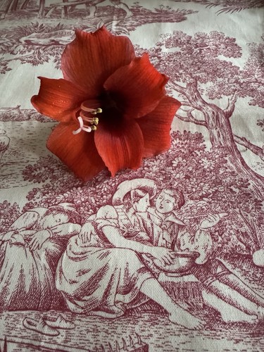 Rideau toile jouy motif - rideau, en