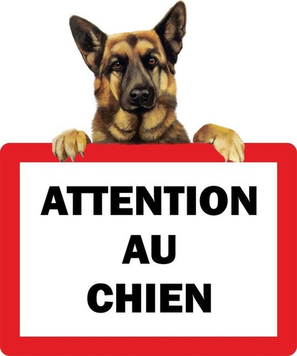 Sticker attention chien - sticker, au