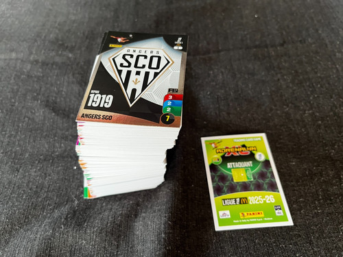 Lot 321 cards cartes panini - 321,