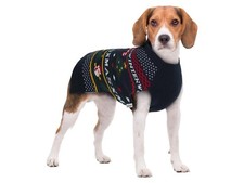 Pull Noel Moyen Chien Lidl