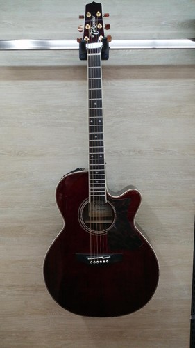 Guitare électrique acoustique