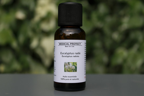 Huile essentielle eucalyptus - essentielle, d'eucalyptus