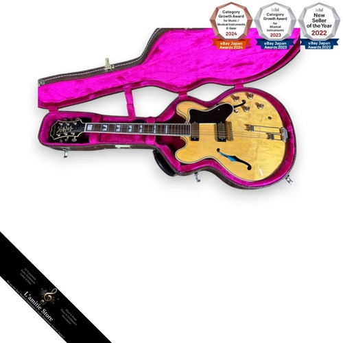 Epiphone john lee - epiphone, hooker