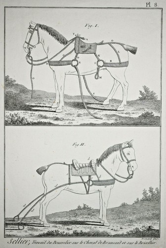 Sellier bourrelier cheval - sellier,