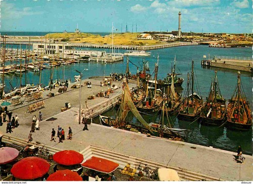 Carte postale belgique - postale,