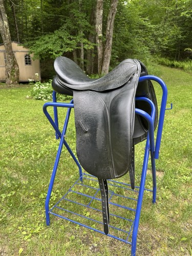 County connection dressage - connection,