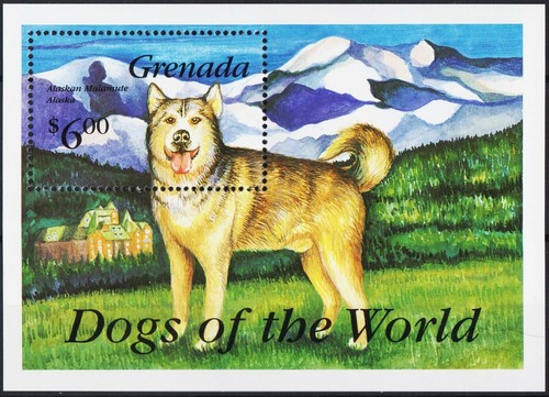 Grenade 1993 alaskan malamute - 1993,