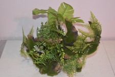 Superbe Grand Aquarium