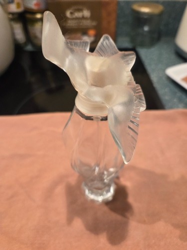 Beau flacon femme eau - beau, de
