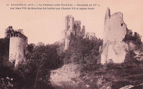 Lavardin chateau - 41,