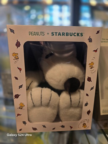 Peluche starbucks korea - peluche,