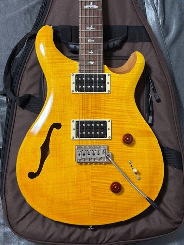 Rare prs custom22 - rare, se