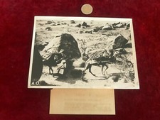 ANTIQUE MILITARY EQUIPMENT PHOTOGRAPH N 30 ITALIAN MOTORIZED COLUMNS