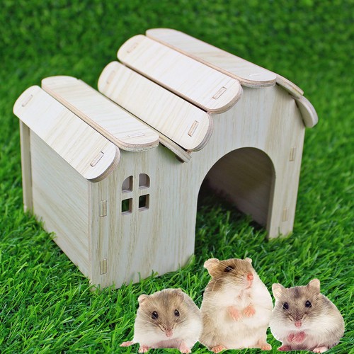 Maison bois pour - pour, hamster